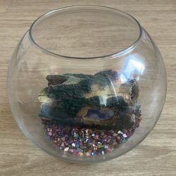 Fish Bowl