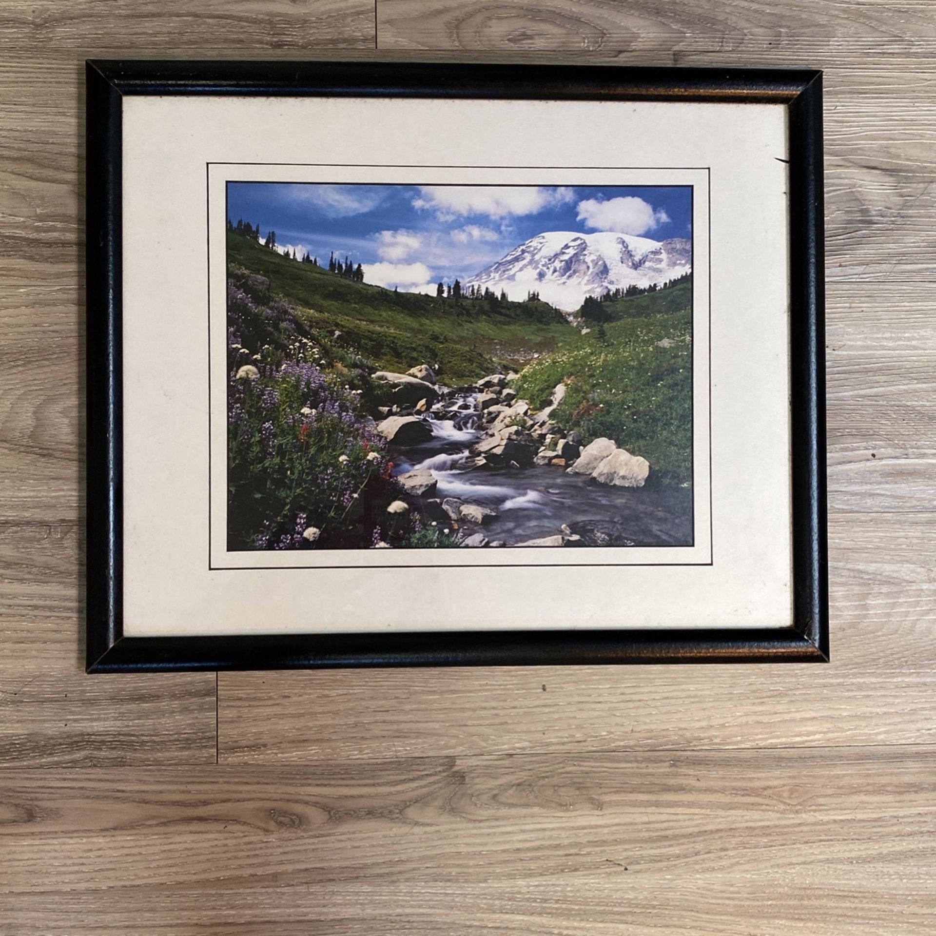 Beautiful Framed Mountain Photo