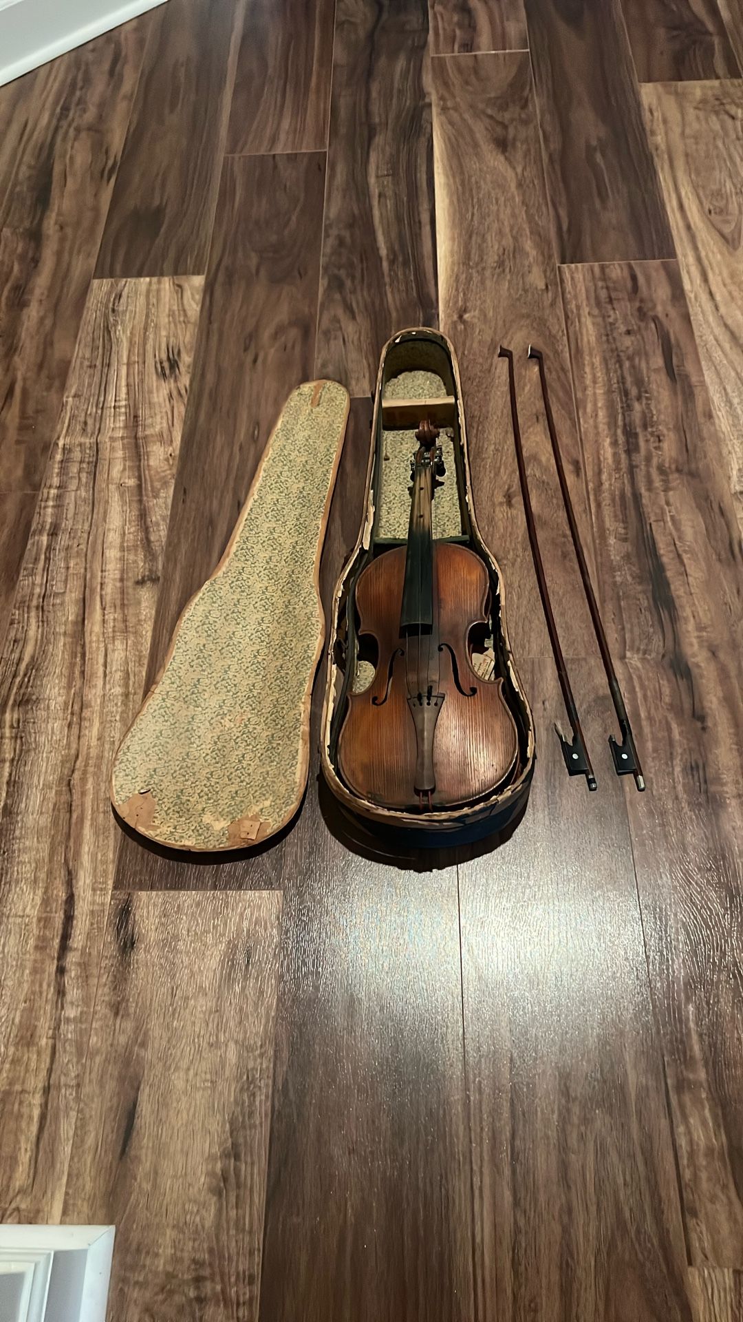 Antique Violin 