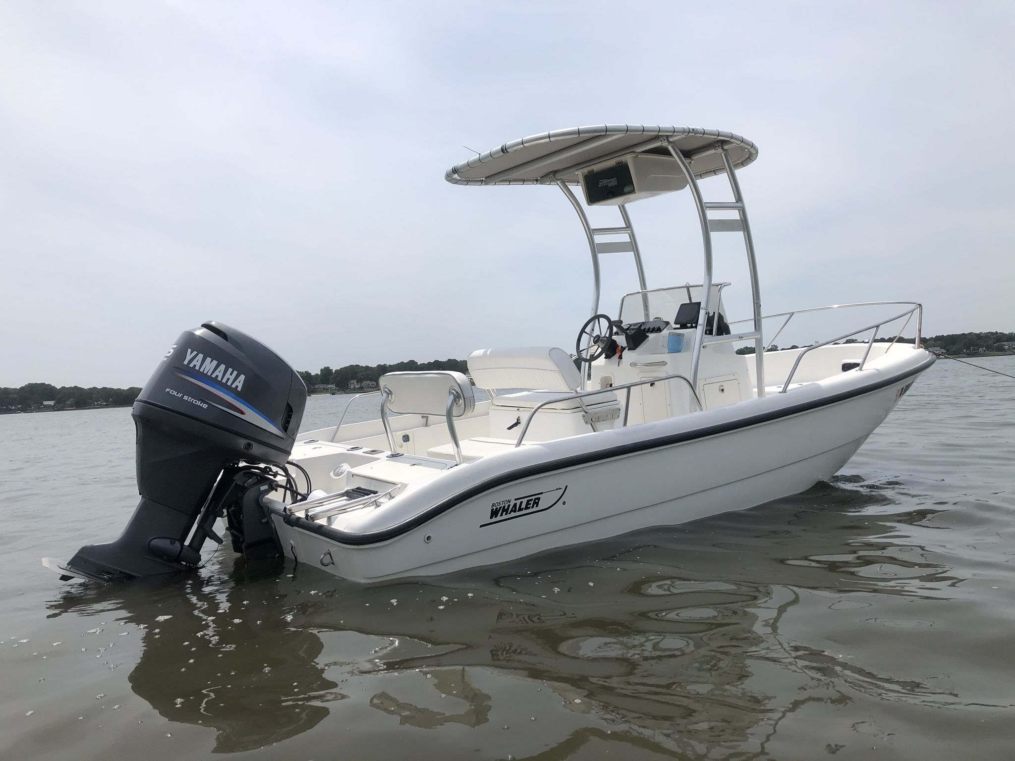 2001 Boston Whaler Dauntless 18