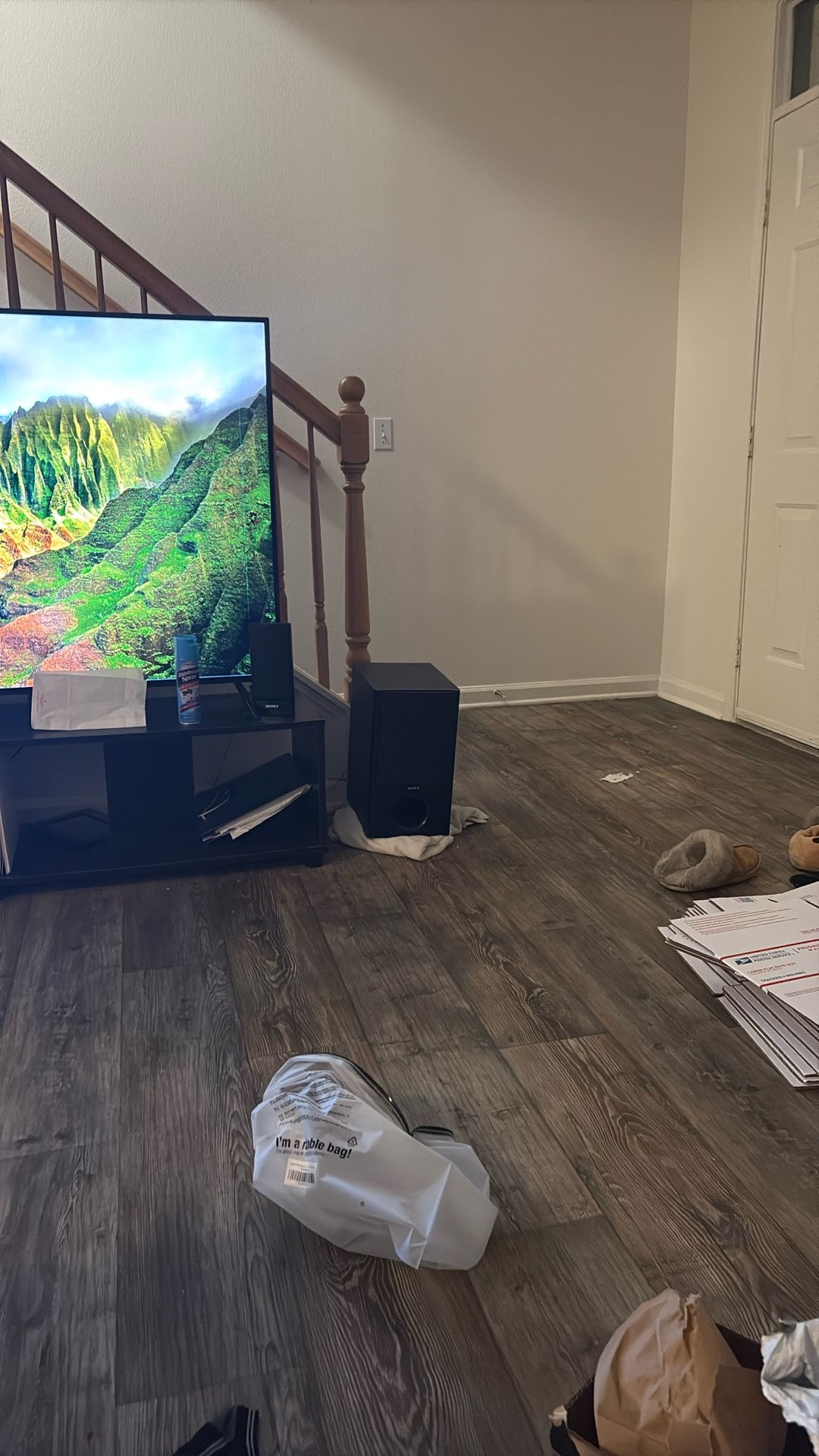 Tv Speaker On The Right 