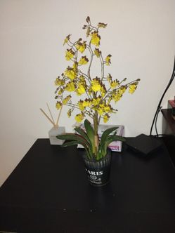 silk flowers