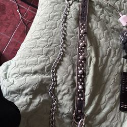 studded leather dog collar.