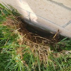 G Old Sprinklers Need New Ones 