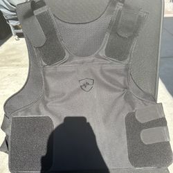 Safe Life defense Bulletproof Best $500 OBO 