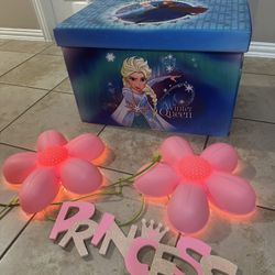 Frozen Storage Box And Flower Wall Lamp