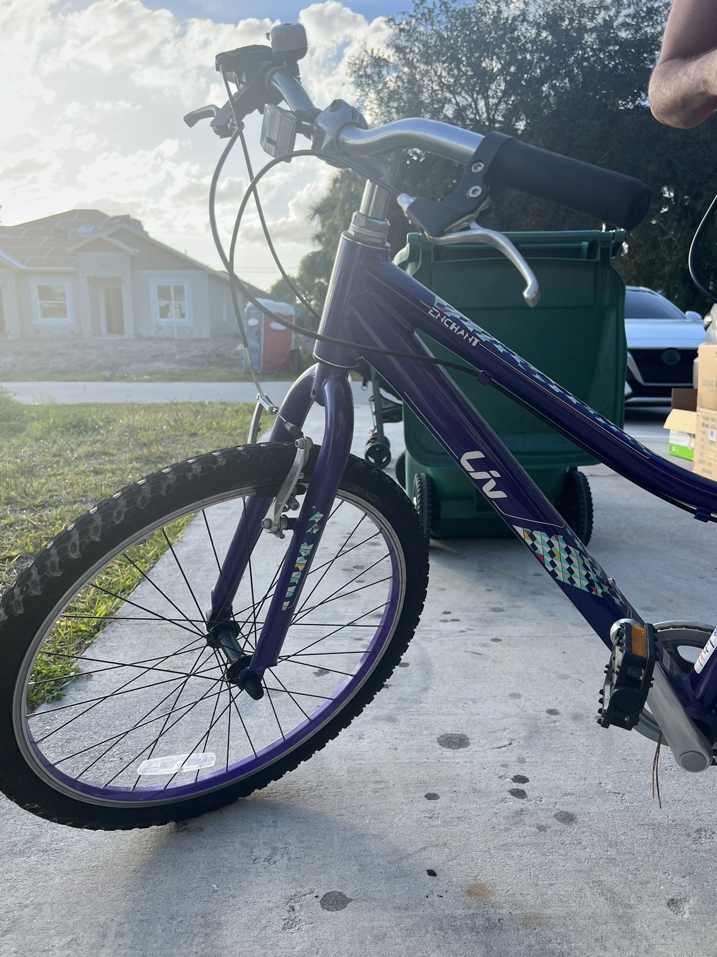 Giant Liv Enchant 20” Girls Bicycle