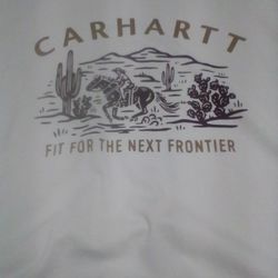Carhartt 4× Shirt