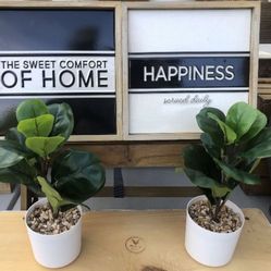 Bundle Deal  Farmhouse Home Decor Signs & Potted Plants Bundle Of 4