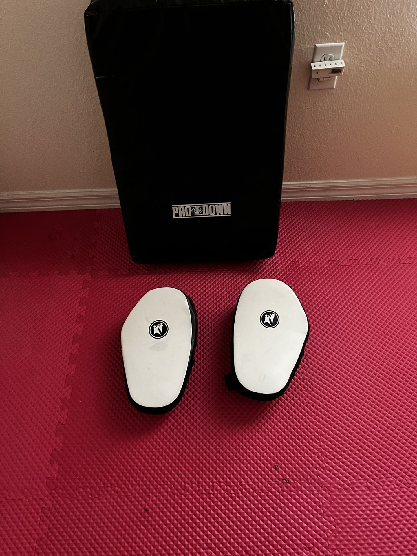 Kicking And Punching Pads