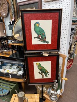 Set of 2 Parrot Prints Art