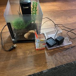 Betta fish tank