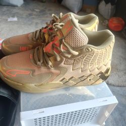 9.5 Mens Golden Child's Puma