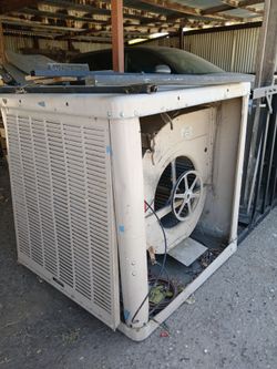 Big Swamp Cooler
