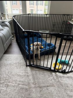 Bonnlo 260-Inch Extra-Large Metal Dog Playpen with Gate