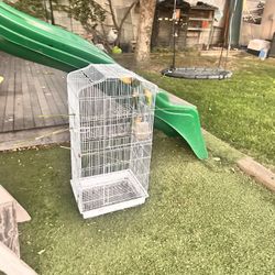 Bird Cage Jaula De Pajaros 