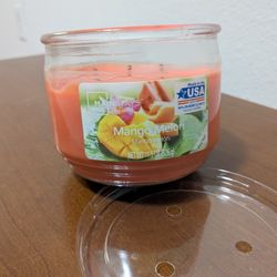 Mango Melon Scented Candle 