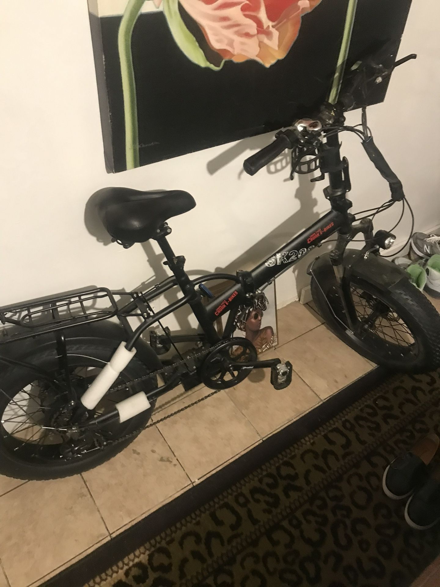 48v13 Electric Bike 