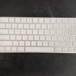 Magic Keyboard & Mouse 2  (Apple)