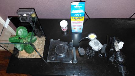 Beta fish tank, utensils, food, aquarium salt