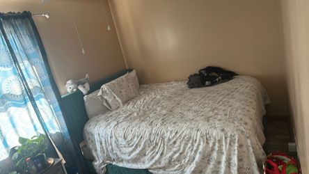 Green bed Queen size(Matress separately)