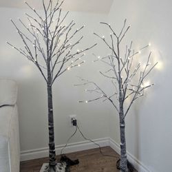 Decorative Trees