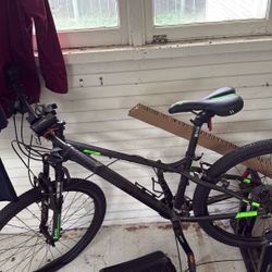 Harp Mountain Bike