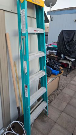 Davidson 6ft Ladder