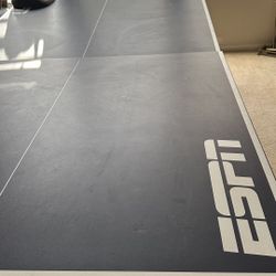 ESPN Ping Pong Table
