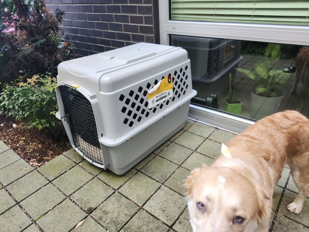 Dog Crate