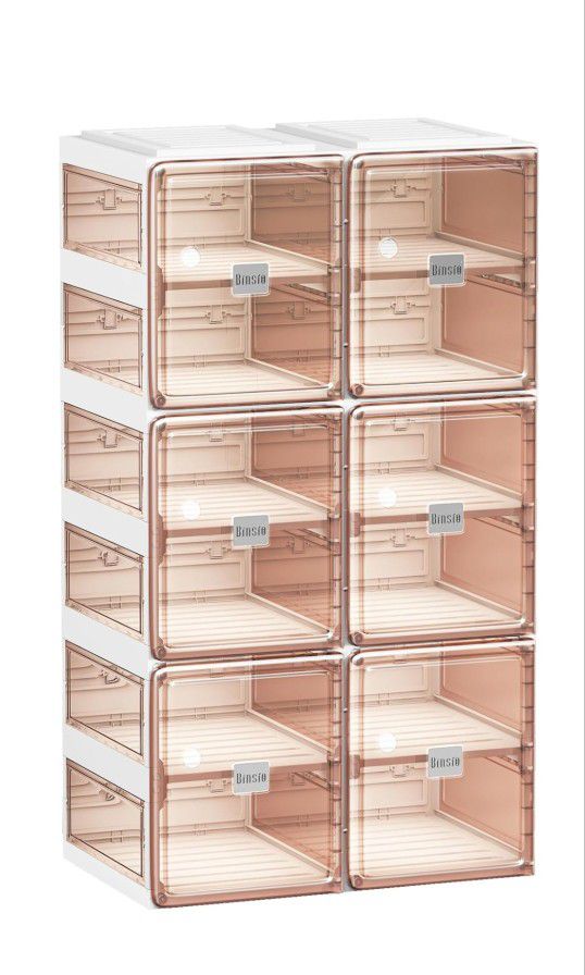 Shoe Rack Closet Organizer and Storage,  Sturdy Plastic Shelf, Clear Brown Doors, 6 Tiers
