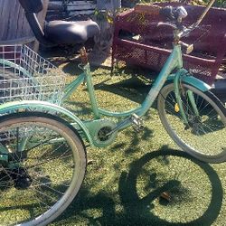 3 Wheeler Bike 