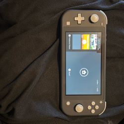 Nintendo Switch Lite Color Grey 