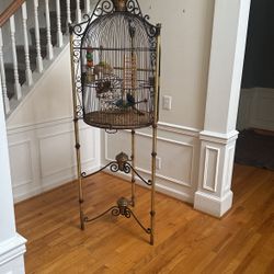 Bird Cage 