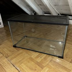 Reptile Tank