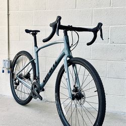 2025 Giant Revolt Gravel Bike size L