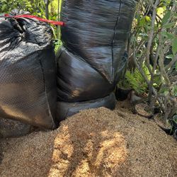 Organic Saw Dust/ Wood Chips