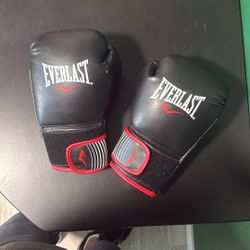 Everlast Red & Black Boxing Gloves 