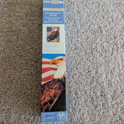 New Bald Eagle Nature Artist's Loft Hanging Canvas Paint By Number Kit