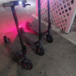 Electric Scooter