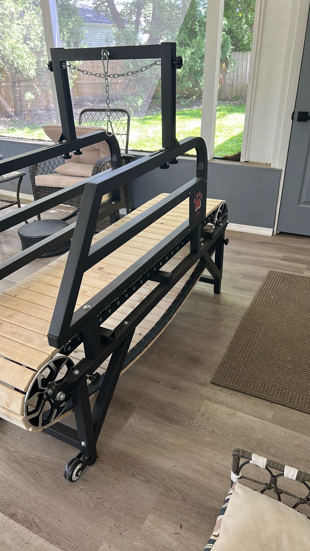 Dog Treadmill
