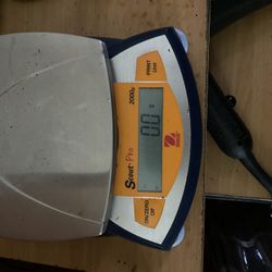 Pro Scout Scale  OHAUS
