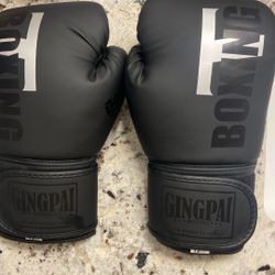 Boxing Gloves 