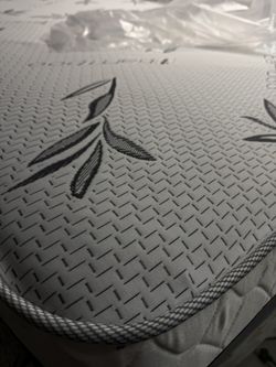 Twin Mattress With Boxspring 