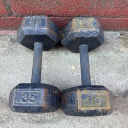 35 Lbs Dumbbell Weight Ms 