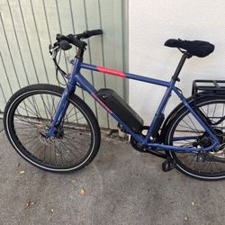 Radpower Radmission Ebike Large