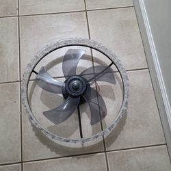 Ventilador Y Lámpara De Techo 