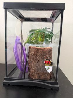Small Reptile or Insect Habitat Kit