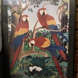 Raul del Rio hard to find framed macaw parrot print