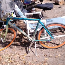 Trek District Carbon Fiber